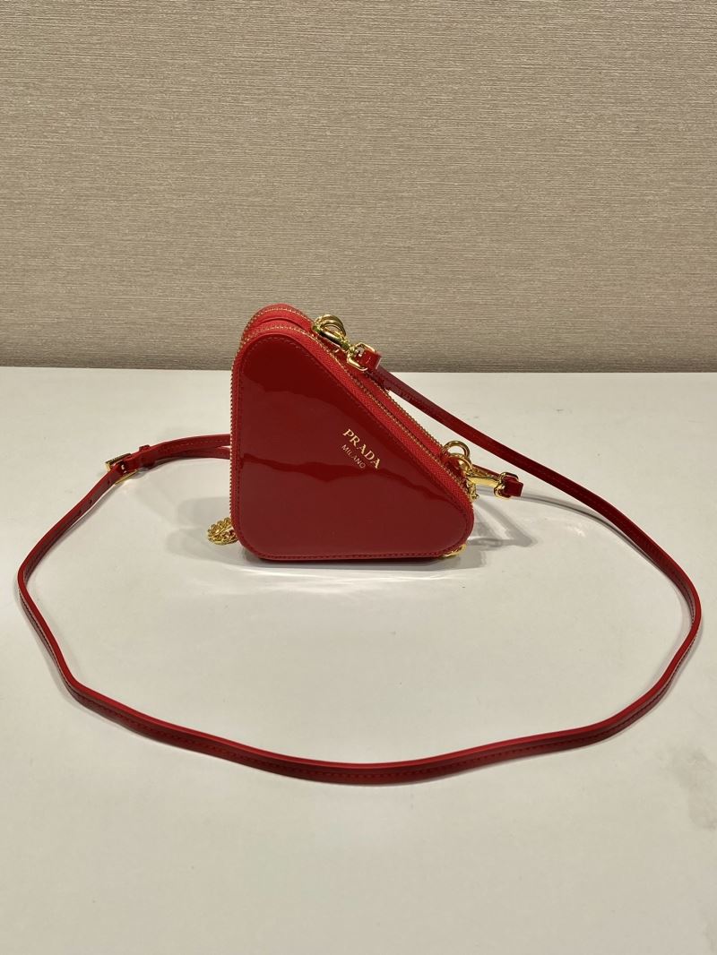 Pra*a triangle pouch